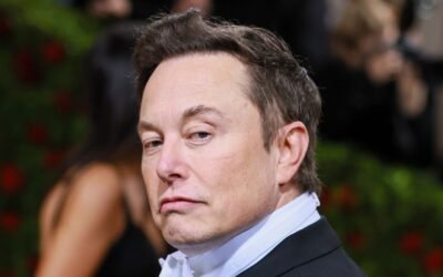 The Tricky Business of Elon Musk Getting Twitter Fire-Hose Access
